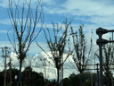 百家好（Basic House）Basic House/百家好格紋高腰不規(guī)則半身裙女夏季新款大裙擺中長(zhǎng)裙 藍(lán)格 M 曬單實(shí)拍圖