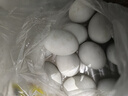 生鮮鴨蛋綠殼多新鮮農家土鴨蛋生鴨蛋水生態(tài)麻鴨蛋草現撿現發(fā) 現撿鮮鴨蛋30枚 約80克 曬單實(shí)拍圖