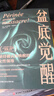 盆底覺醒 貝爾納黛特·德加斯凱 著 婦產科學 女性身心健康管理書籍 深刻剖析盆底功能科普讀物 盆底肌修復 曬單實拍圖