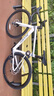 喜德盛（xds）xds ad300喜德盛ad300 25款山地車(chē)喜德盛公路車(chē)公路自行車(chē)喜德盛 2025款|白蛇 700Cx510mm|身高175-185cm 曬單實(shí)拍圖