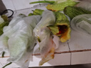 新鮮現(xiàn)摘當(dāng)季綠色蔬菜苦瓜涼瓜清脆爽口青皮涼拌瓜山東新鮮苦瓜 現(xiàn)摘現(xiàn)發(fā)新鮮苦瓜 5斤 曬單實拍圖