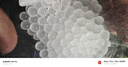 佐之尋磨砂水彈珠7-8mm水珠玩具加厚子彈乳白水晶水彈珠泡大珠凝膠彈 100克/1.2萬顆（市場虛標(biāo)2萬顆） 曬單實拍圖