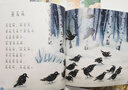 金波四季兒歌 名家母語(yǔ)啟蒙讀物（全彩注音美繪版 套裝共4冊 附描紅涂色本） 曬單實(shí)拍圖
