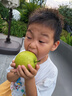 dahua 大華監(jiān)控?cái)z像頭400萬(wàn)室外poe網(wǎng)線(xiàn)供電網(wǎng)絡(luò)監(jiān)控器攝像機(jī)戶(hù)外高清夜視槍機(jī)攝像頭DH-HA4A1-A-6MM 曬單實(shí)拍圖