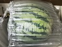 京鮮生 無籽麒麟大西瓜 1粒裝 7-9斤 生鮮水果 曬單實(shí)拍圖
