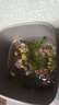 紅毛丹水草浮萍水培水生植物花卉綠植盆栽蓮花碗蓮魚(yú)缸蝦水芙蓉 紅色 紅毛丹10株 曬單實(shí)拍圖