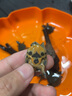 易萌 小甲魚苗王八苗活體烏龜中華鱉苗外塘大型魚活體飼料冷水好養(yǎng) 4-6克10只 曬單實(shí)拍圖