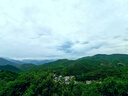 三麗鷗（SANRIO）Melody美樂(lè)蒂收納錢(qián)包裝卡零錢(qián)包合成皮革甜美時(shí)尚女學(xué)生節(jié)日禮物 曬單實(shí)拍圖