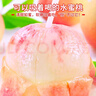 京地達正宗山東金秋紅蜜桃子凈重8斤單果200g+新鮮當季水果源頭直發(fā)包郵 曬單實(shí)拍圖
