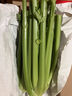 鹿凌青【順豐直發(fā)】一份芹菜新鮮西芹榨汁農(nóng)家自種嫩芯農(nóng)家青菜香芹食用 精品西芹五斤裝 曬單實拍圖