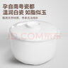 天際隔水燉 電燉鍋4L蒸汽燕窩大容量電燉盅可蒸可燉家用陶瓷煲湯鍋一鍋五膽帶蒸籠多功能煮粥神器40AG 快速出蒸汽- 4L 曬單實拍圖