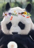 UGG春季男女同款時尚舒適休閑厚底輪胎底一腳蹬懶人鞋1155650 SNDP | 沙色/杏色 39.5 曬單實拍圖