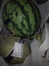 【產(chǎn)地直采】麒麟奶油西瓜 約4.5kg 曬單實拍圖