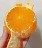 正宗紅美人果凍橙新鮮水果當季手剝果凍甜橙愛(ài)媛38號柑橘蜜桔飽滿(mǎn) 3斤【甄選中果】 曬單實(shí)拍圖
