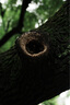 適馬24-70mm F2.8 DG DN II ART 二代全畫幅微單標準變焦鏡頭 索尼E卡口【送主圖配件】 官方標配 曬單實拍圖