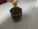 宜賓酒窖藏5丨2020年瓶儲老酒 濃香型白酒 純糧名酒 禮物 優(yōu)質(zhì)白酒S 52度 500mL 1瓶 2020年瓶儲老酒 曬單實拍圖