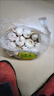 綠亞夢(mèng)蒜頭多瓣蒜香蒜子蒜粒大蒜頭十足干貨精選紫白皮新鮮祘子產(chǎn)地直發(fā) 5斤大果(4.5-5.5cm)人工精選好果 曬單實(shí)拍圖