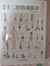 圖解十二經(jīng)絡(luò )調筋術(shù)   動(dòng)作要領(lǐng) 分步指導 從頭到腳理筋防病 打通全身經(jīng)筋血脈 曬單實(shí)拍圖
