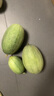 正宗山東直發(fā)哈密瓜 現(xiàn)摘頭茬蜜瓜新鮮當(dāng)季水果現(xiàn)摘水果整箱 9斤帶箱(凈重8.5斤)3-5個(gè) 精選裝 曬單實(shí)拍圖