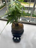 捷波朗Jabra捷波朗ELITE 75 T主動(dòng)降噪藍(lán)牙耳機(jī)無線入耳式蘋果安卓通用 黑色 曬單實(shí)拍圖