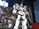BANDAI萬(wàn)代 RG系列 RGU 高達拼裝模型 1/144 敢達 兒童男生手辦玩具禮物 RG 獨角獸高達 曬單實(shí)拍圖