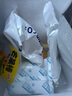 【整只凍芒果】即食去皮小臺(tái)芒冰棍芒果棒冰鮮凍兒童甜品冰淇淋 10支 曬單實(shí)拍圖