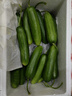 京鮮生 山東荷蘭水果黃瓜凈重5斤 單果100g+ 健康輕食早餐 源頭直發(fā) 曬單實拍圖