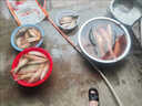 譽靜大飛飛盤齒輪盤式拋網(wǎng)撒網(wǎng)漁網(wǎng)魚網(wǎng)網(wǎng)手神器撒手拉絲美式自動新款 高3米網(wǎng)眼1指加粗摩卡綠絲線 加粗膠絲拉線齒輪大盤 曬單實拍圖