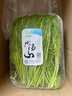 小湯山  茴香 約250g 新鮮蔬菜基地種植當天采摘 曬單實拍圖