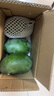 京鮮生 攀枝花凱特芒果 凈重4.5斤 帶箱5斤 單果400g+ 生鮮水果源頭直發(fā) 曬單實(shí)拍圖