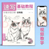 2022新書 經(jīng)典全集 4冊速寫基礎(chǔ)教程入門臨摹教材植物動物風景人物速寫畫畫初學者自學零基礎(chǔ)教程書 曬單實拍圖