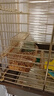 寵易生 小型鸚鵡飼料五色黍子鳥食谷物混合鳥糧小型鳥類通用1.9kg 曬單實拍圖