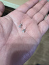 京東京造星芒18K金培育鉆石耳釘共60分鉆石耳飾耳環(huán)禮物送老婆送女友 曬單實(shí)拍圖