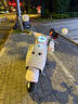 臺鈴摩托車72V22AH石墨烯超長續(xù)航大動力電摩代步電瓶車蝴蝶 炫珠粉-7222石墨烯-手機APP 曬單實拍圖