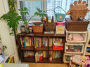 顧家家居實(shí)木書(shū)架落地書(shū)柜矮書(shū)柜書(shū)房格子柜組合置物架可疊落儲物柜收納柜 【橡膠木加深六格】 胡桃色 87CM 【送貨上門(mén)包安裝】 曬單實(shí)拍圖