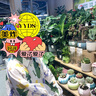 馬·拉?。∕.Latin）/童裝女大童春裝新款加褶支府綢寬松長(cháng)袖連衣裙 花白色 160cm 曬單實(shí)拍圖