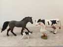 babycare&bctoys兒童玩具實(shí)心仿真農(nóng)場動物桶動物模型奶牛綿羊金毛犬 曬單實(shí)拍圖