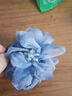 柏詩(shī)琳藍色水墨風(fēng)花朵低丸子頭抓夾女高端2025新款盤(pán)發(fā)夾發(fā)卡氣質(zhì)馬尾夾 水墨風(fēng)抓夾 曬單實(shí)拍圖