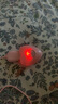 謎姬胸部乳房頭按摩刺激震動(dòng)跳蛋遙控電動(dòng)乳夾調(diào)情女性自慰器成人用品 充電咪咪款（雙乳罩）舒韻震乳器舌舔吸附乳罩情趣玩具 曬單實(shí)拍圖