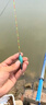 漢鼎浮漂野釣醒目高靈敏鯽鯉魚淺水鰱鳙漂無鉛漂 標(biāo)語無鉛大物1# 曬單實(shí)拍圖