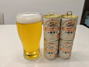 帕莎帕琦（Pasabahce）進口啤酒杯進口鋼化玻璃杯果汁飲料杯微波爐耐高溫570ML1只42747 曬單實拍圖