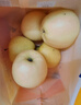 煙臺(tái)黃元帥蘋(píng)果新鮮水果粉面蘋(píng)果當(dāng)季孕婦老人黃香蕉軟糯沙甜整箱 粉面5斤中果【10-12個(gè)】 曬單實(shí)拍圖