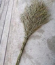 萬佳益家 竹枝大掃把 學(xué)校環(huán)衛(wèi)工廠庭院 大號(hào)竹掃把 竹竿把大掃把（5斤一把裝） 曬單實(shí)拍圖
