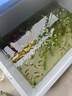 寸金魚食熱帶魚飼料斗魚孔雀魚燈魚小型魚高蛋白微粒增色魚糧 NO128 40g熱帶魚（3包） 曬單實(shí)拍圖