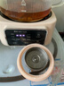 金正（NINTAUS）養(yǎng)生壺全玻璃花茶壺?zé)畨刂蟛杵骱銣厮畨仞B(yǎng)生水壺辦公室煮茶壺迷你0膠水煮水壺 全玻璃壺體【不帶濾網(wǎng)】 1.2L 曬單實(shí)拍圖