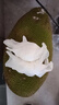 京逸海南菠蘿蜜黃肉干苞新鮮水果當(dāng)季木波羅蜜三亞特產(chǎn)8-35斤一整個(gè) 20-25斤【高性價(jià)比大果推薦】 曬單實(shí)拍圖