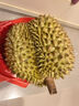 京顏果干堯樹(shù)熟榴蓮新鮮整個(gè)果【JD-可送貨上門(mén)】帶殼水果進(jìn)口越南水果 凈重2.8-3.5斤【包熟包甜】 曬單實(shí)拍圖