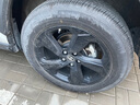 鄧祿普（DUNLOP）輪胎/汽車輪胎 225/60R18 100H GRANDTREK ST30 原廠配套新奇駿 曬單實拍圖