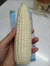 田果匠福建牛奶玉米（順豐鎖鮮到家）可生吃水果玉米新鮮甜玉米爆漿冰糖 4斤 5-8根 曬單實(shí)拍圖