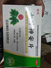 安神助睡安藥片 快速入睡成人非處方藥l類(lèi)藥鎮靜藥睡眠i荺睡的死(100%發(fā)貨特效)醫的用安七葉神安片 一盒【比乙醚還快】失眠專(zhuān)用藥 曬單實(shí)拍圖